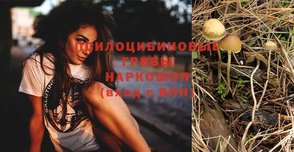 бошки Михайлов