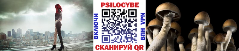 сайты даркнета как зайти  hydra ссылка  Эртиль  как найти закладки  Галлюциногенные грибы Psilocybine cubensis 