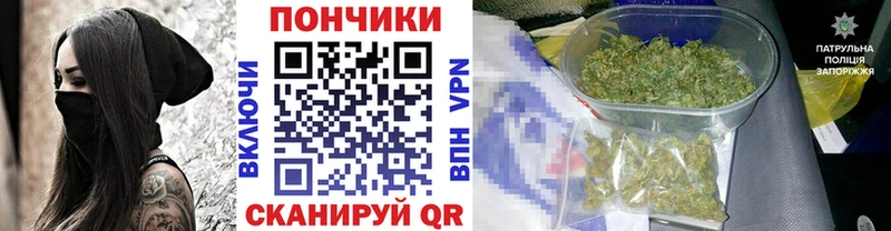 МЕГА ссылка  Эртиль  Шишки марихуана марихуана  как найти наркотики 
